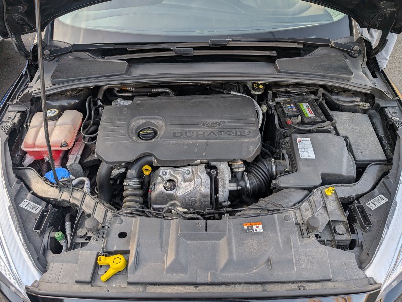 pxl-20250130-122443926.jpg