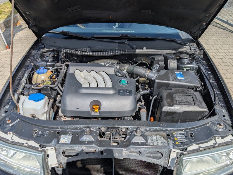 pxl-20250509-102404625.jpg