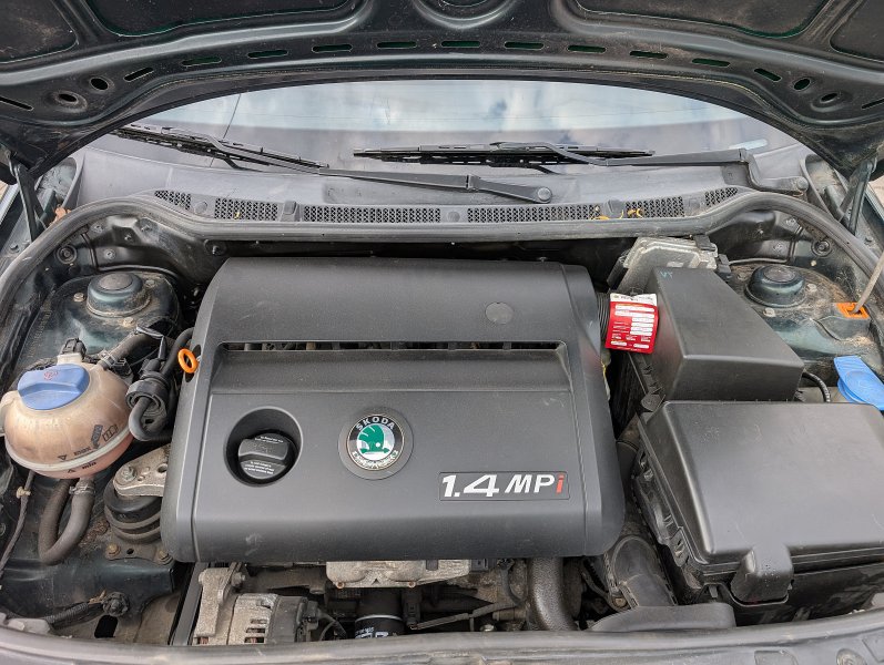 pxl-20250605-145450160.jpg