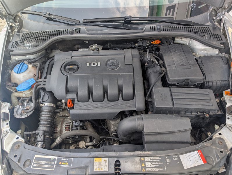 pxl-20250610-075343830.jpg