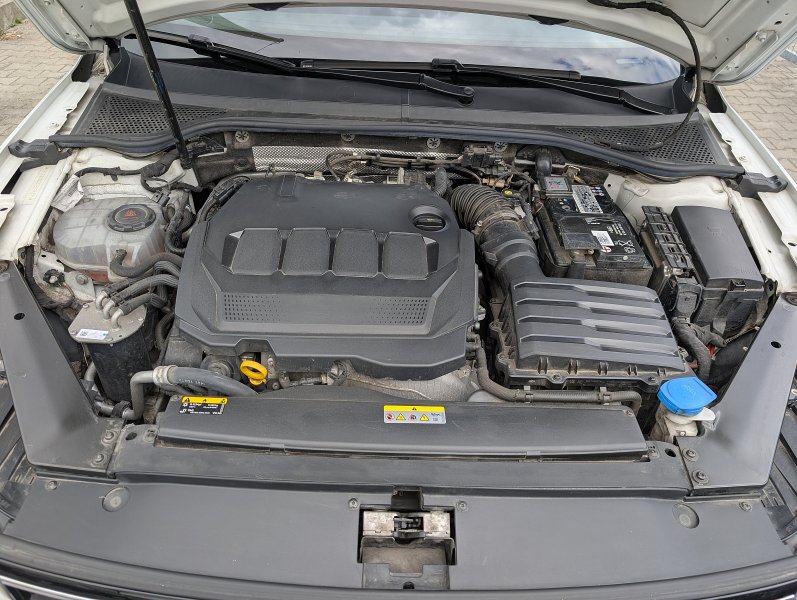 pxl-20250711-122453858.jpg