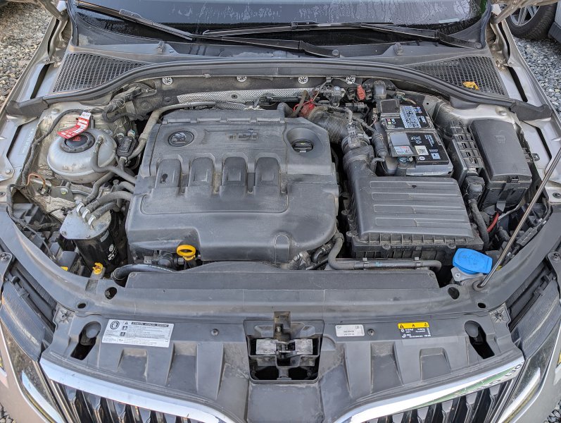 pxl-20251003-081747949.jpg