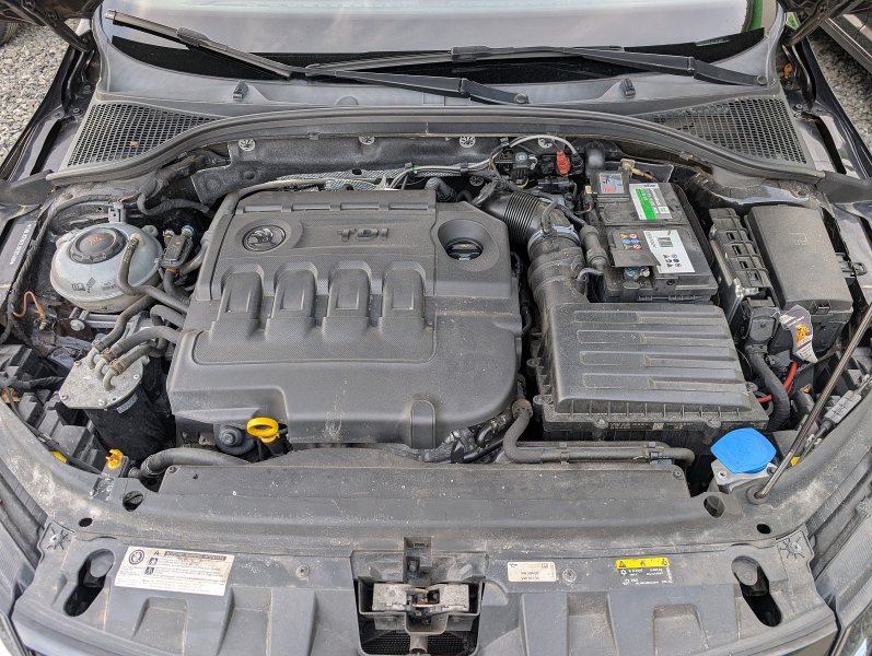 pxl-20260505-060016771.jpg