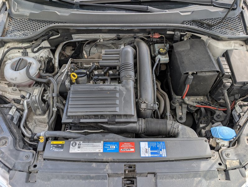 pxl-20260810-132001534.jpg