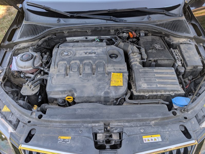 pxl-20260813-100031109.jpg