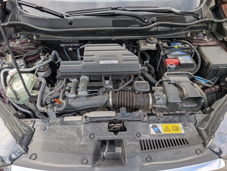 pxl-20261009-090156356.jpg